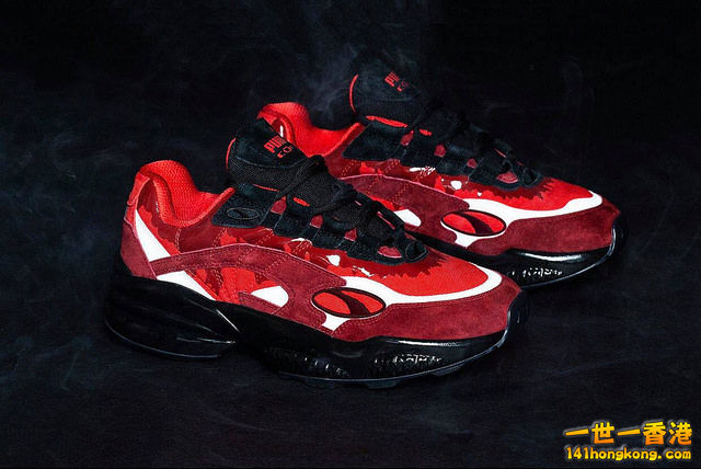 PUMA17.jpg