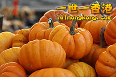 240px-Cucurbita_pepo_small_edible_mini_baby_pumpkins.jpg