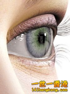 77BA080B-ACE2-4B75-ABD5-3A8464EB2215.jpeg