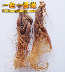 220px-Bk1qy.jpg