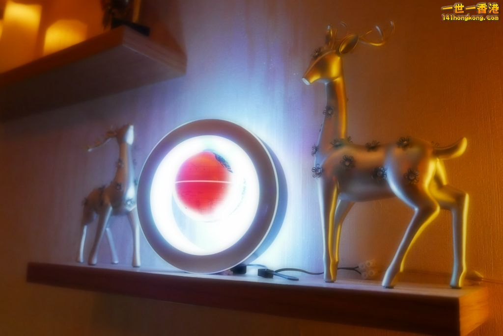 P1440035 [1024x768].JPG