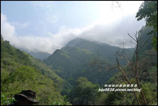 233DF6E7-3EFA-4C87-9F1B-BD66F2076542.jpeg