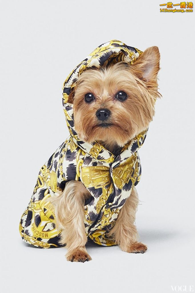 Moschino 17.jpg
