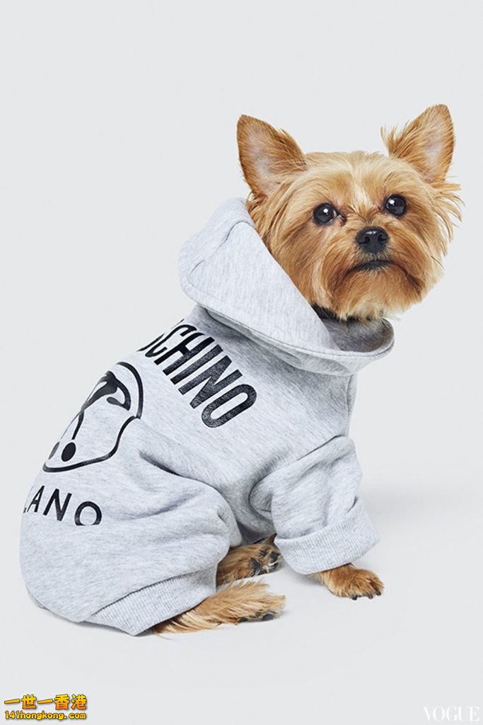 Moschino 18.jpg