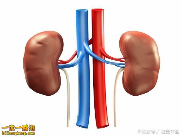 7D5D6307-FB0B-42D4-AC98-99B4EC0D939D.jpeg
