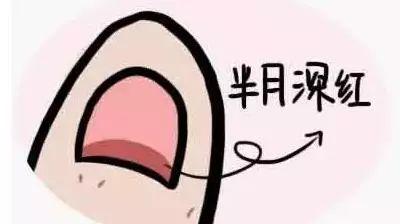 2B9EE1F7-4F81-4873-9B54-F4C3B5610F83.jpeg
