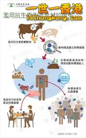 724D2739-6F9F-4F75-A6EC-A8710DED3A7D.jpeg