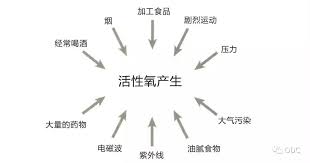D71EAA9E-5459-4957-929E-817F52FA4EE8.jpeg