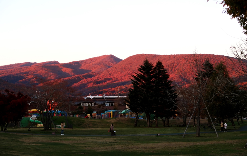 IMG_5733.JPG