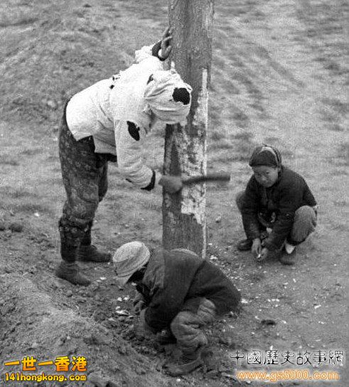 114558rj4rdlifkikrr444.jpg