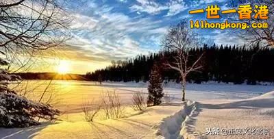 5E1CD463-34CE-4D94-975D-C4468AB66CC8.jpeg