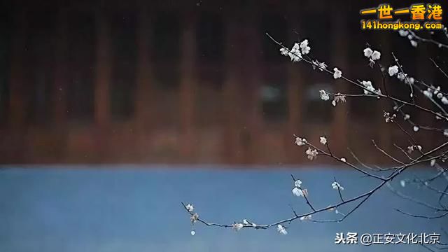 D3B582F1-D8D1-4F14-BBDF-45E8C700FD18.jpeg