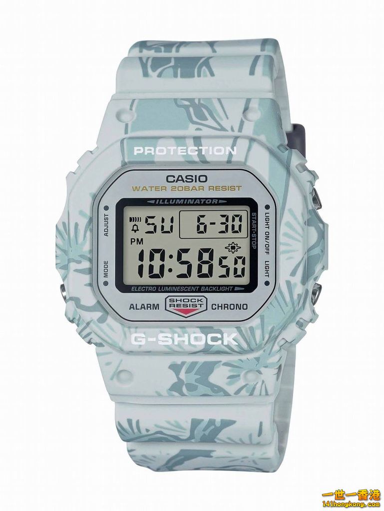 Casio13.jpg