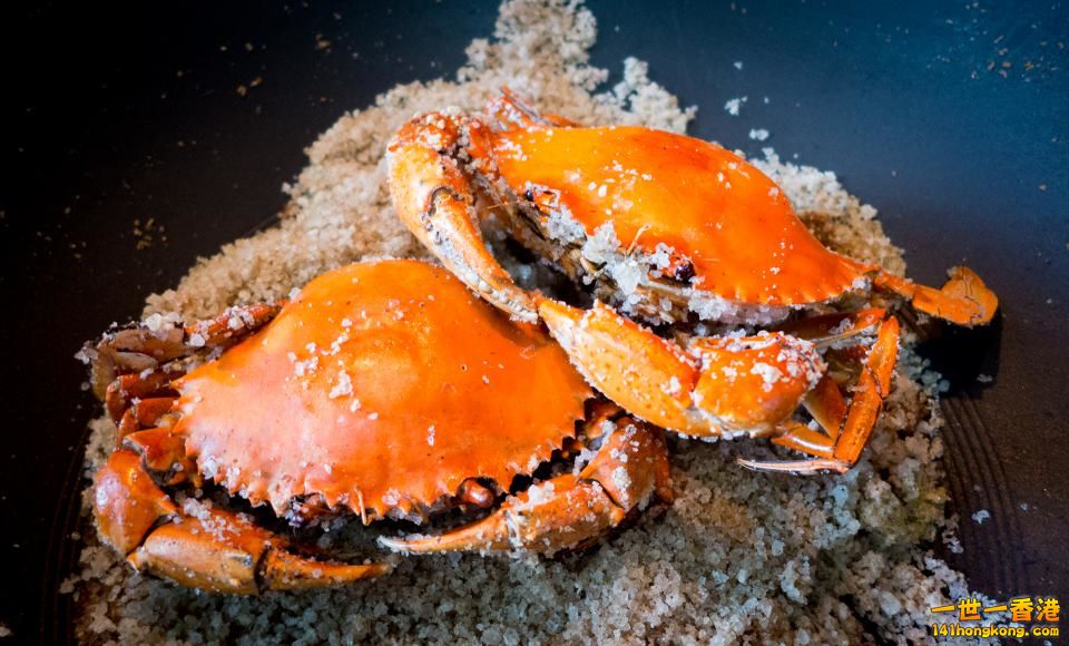 鹽焗奄仔蟹.jpg
