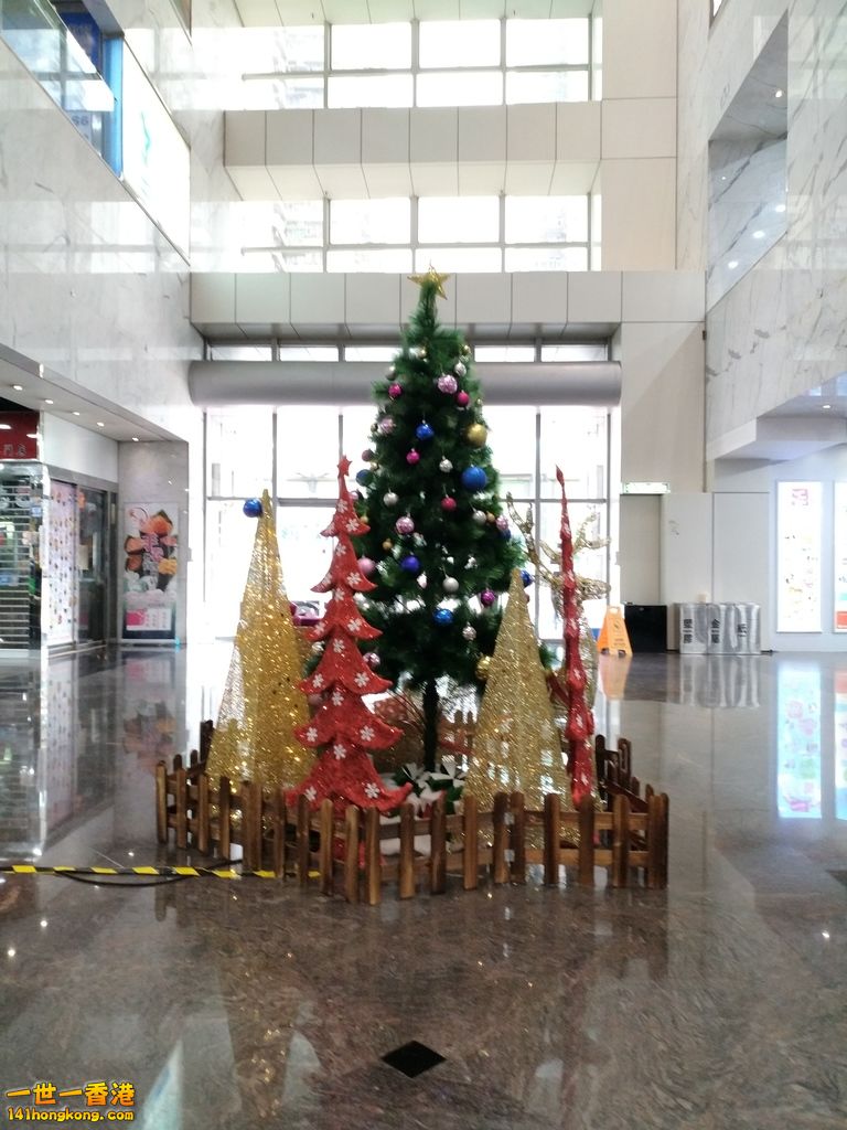 IMG_20181206_093437.jpg