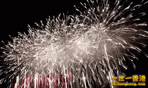 01.gif