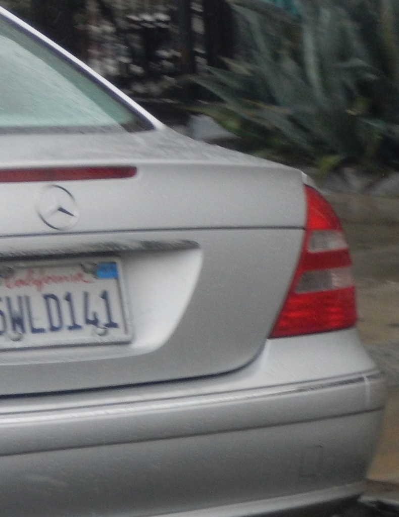 DSCN1355.JPG