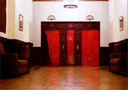 2C313EDF-C119-4210-BD61-3220A5AC6219.gif