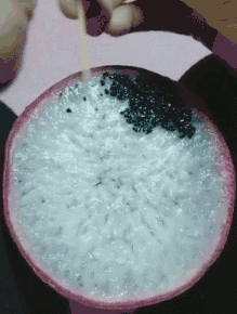 C343E1FD-1BB0-47EF-891A-7376E2562AD8.gif