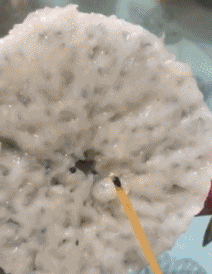 1BE6EF1D-F0F4-4A02-A1F7-A3DA4FA5D88C.gif