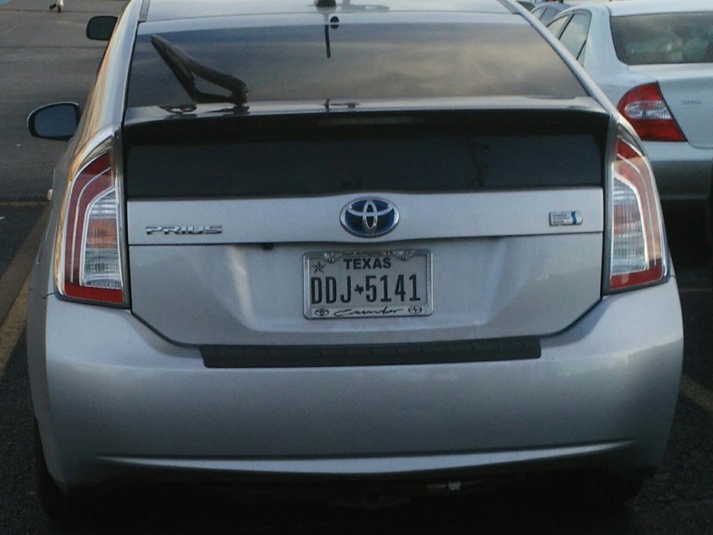 8203537.jpg