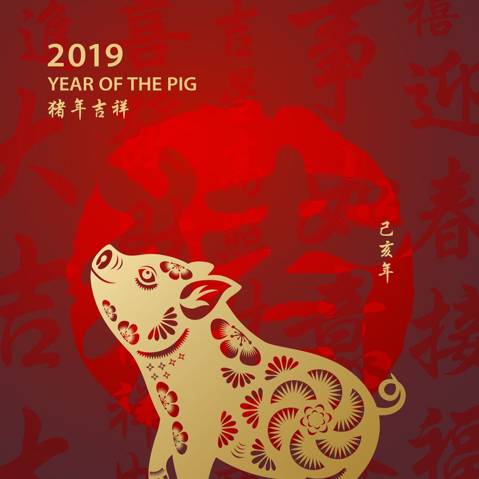 cny-year-of-the-pig-5c06b34d46e0fb0001b51fc5.jpg