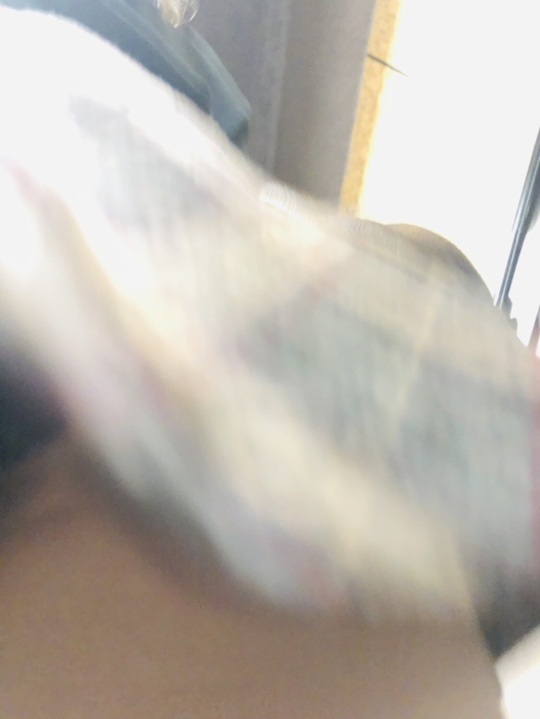 31BD12A8-D039-4C1F-A778-A3B728A528D8.jpeg