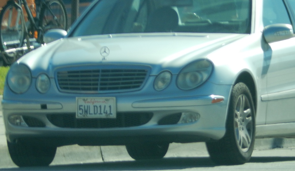 DSCN1371.JPG