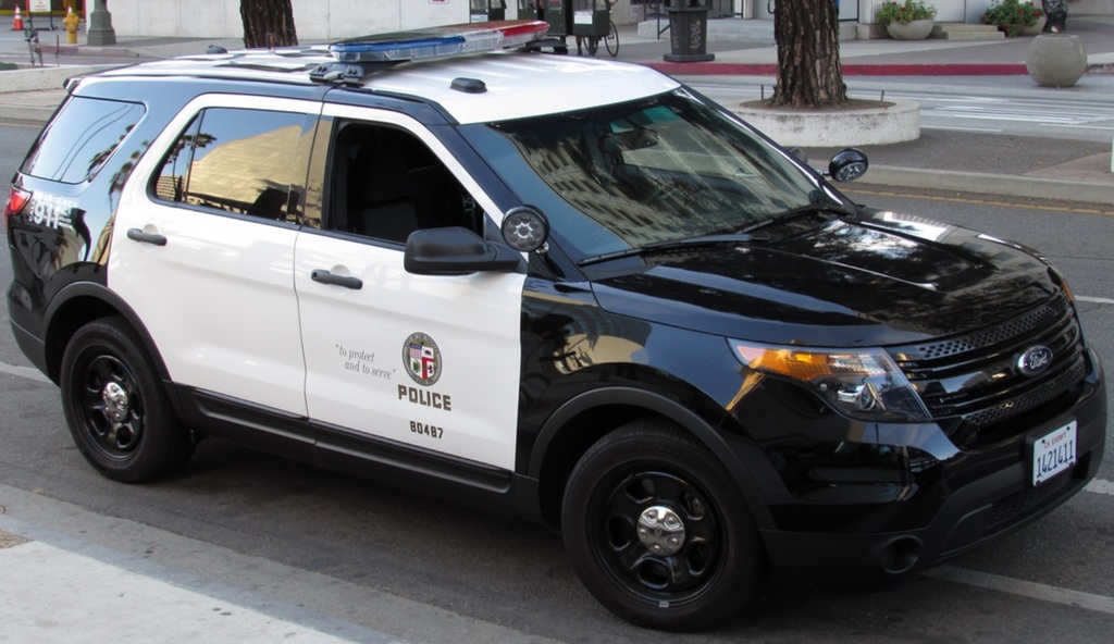 DSCHLVMPD01032019113.jpg
