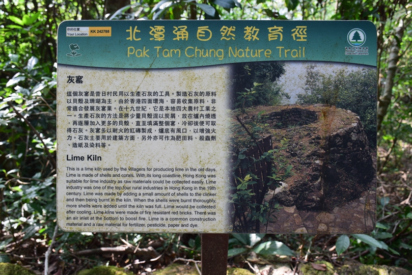061.JPG