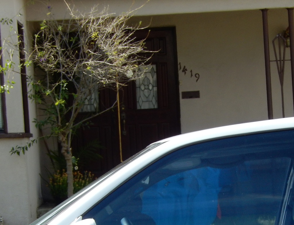 DSCN1390.JPG