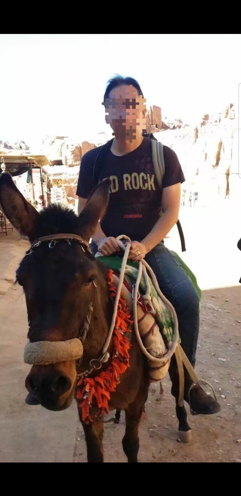 驢仔騎過冇搞過。