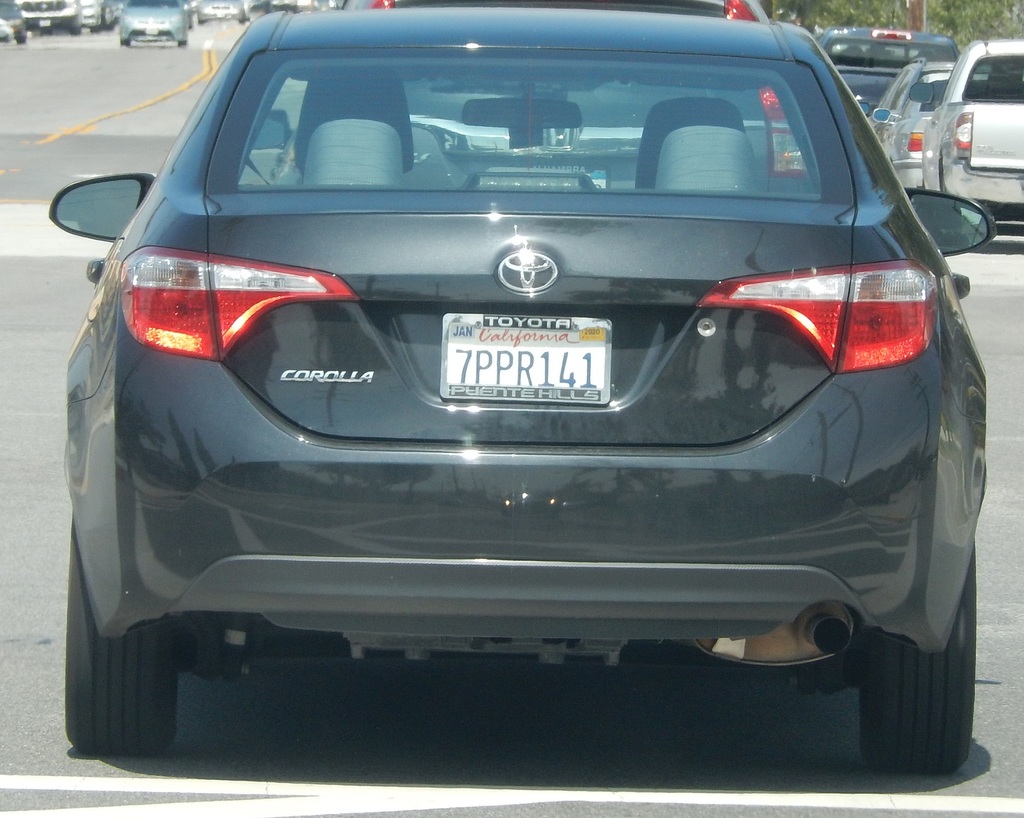 DSCN1403.JPG