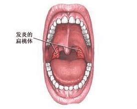 A66B8010-FB03-483E-A3AE-21916A30FCCE.jpeg