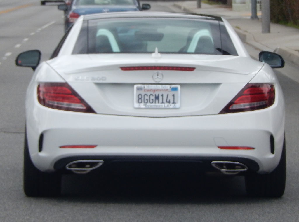 DSCN1409.jpg