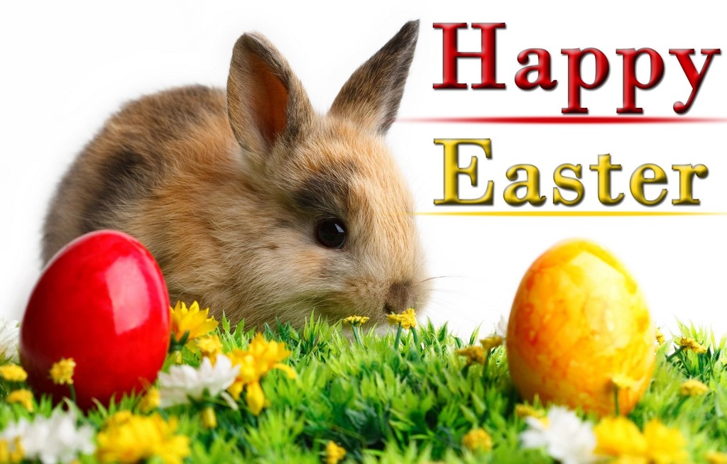 rabbit-happy-easter-hd-beautiful-wallpaper-photo.jpg