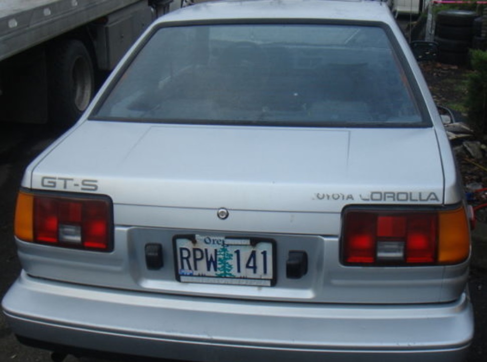 IMG RPW 141 OR.jpg