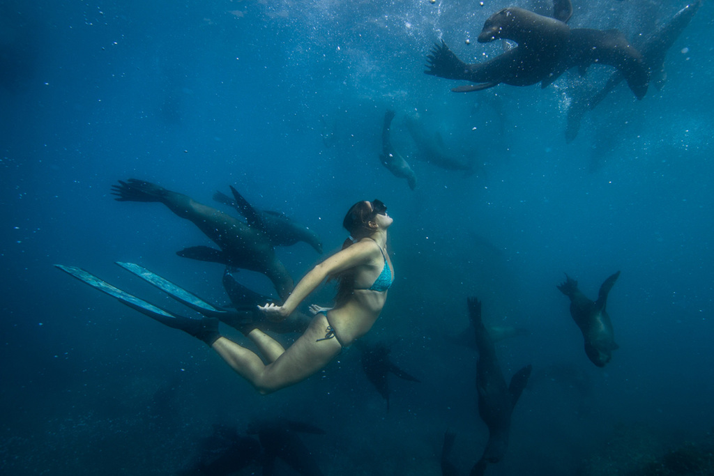 Kimi-Werner-Spearfishing-Freediving-Hawaii-Interview-Photo-JustinTurkowski-4-1.jpg