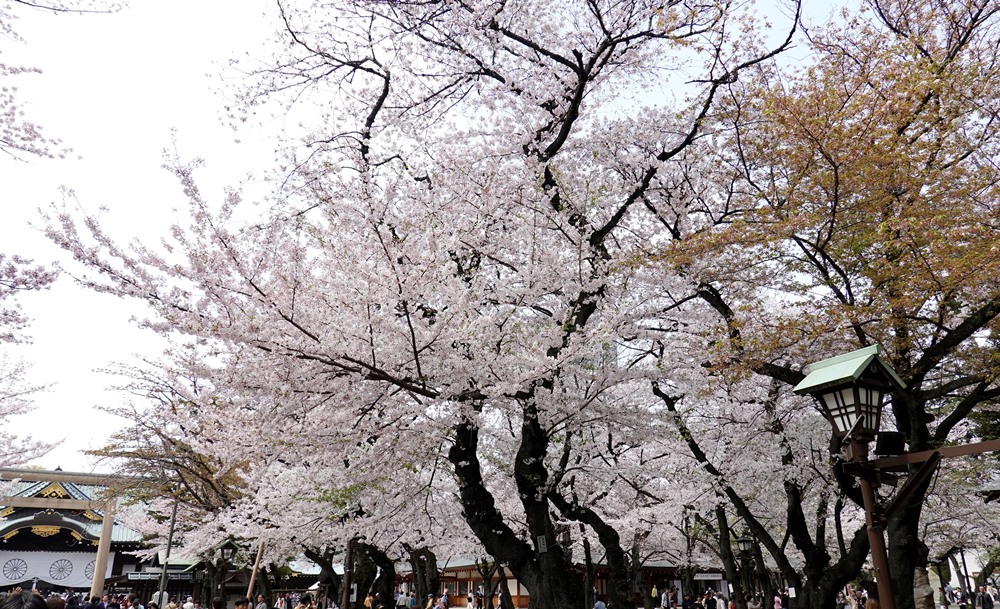 DSC00860.JPG