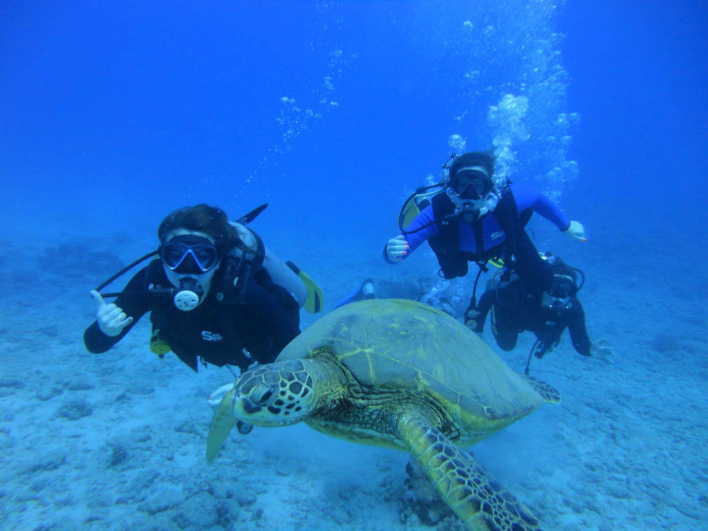 oahu-scuba-diving-04.jpg