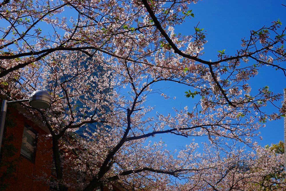 DSC01193.JPG