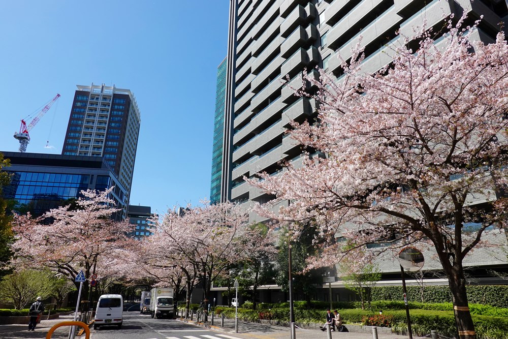 DSC01203.JPG