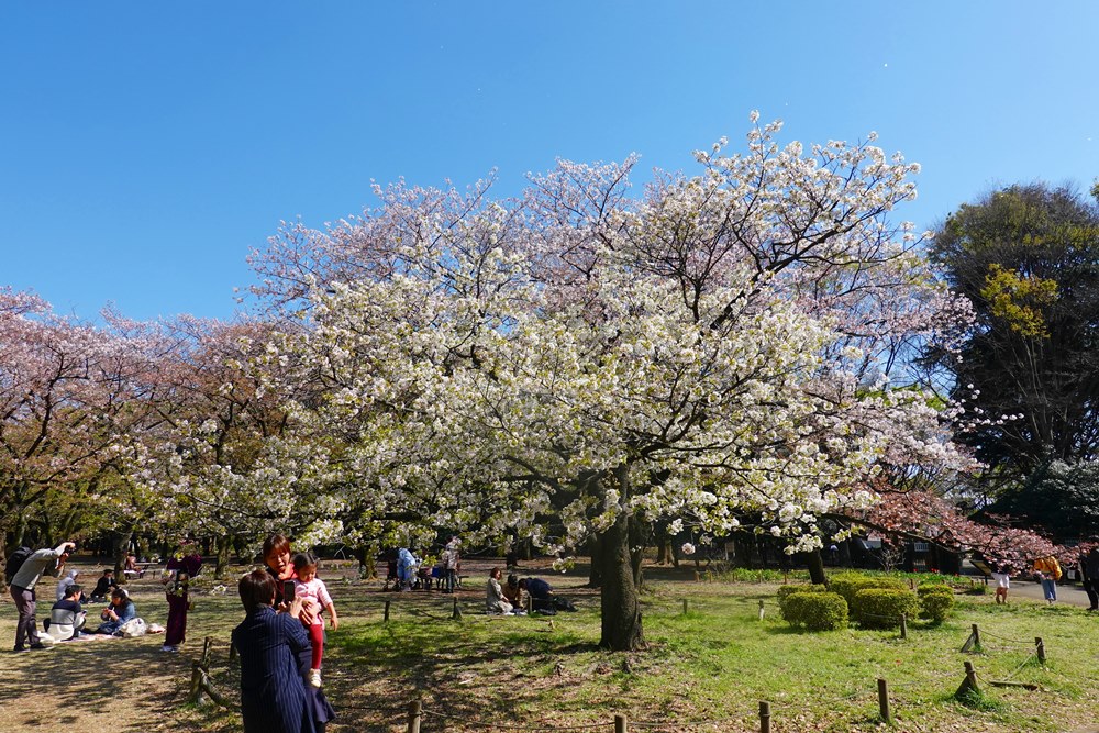 DSC01259.JPG