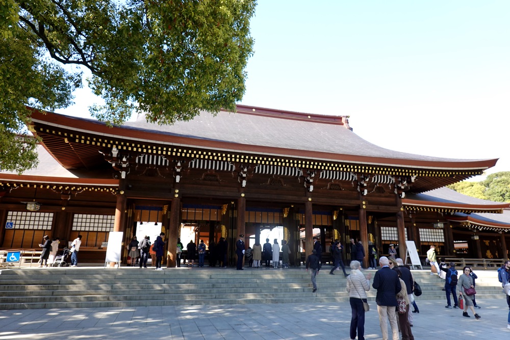 DSC01339.JPG