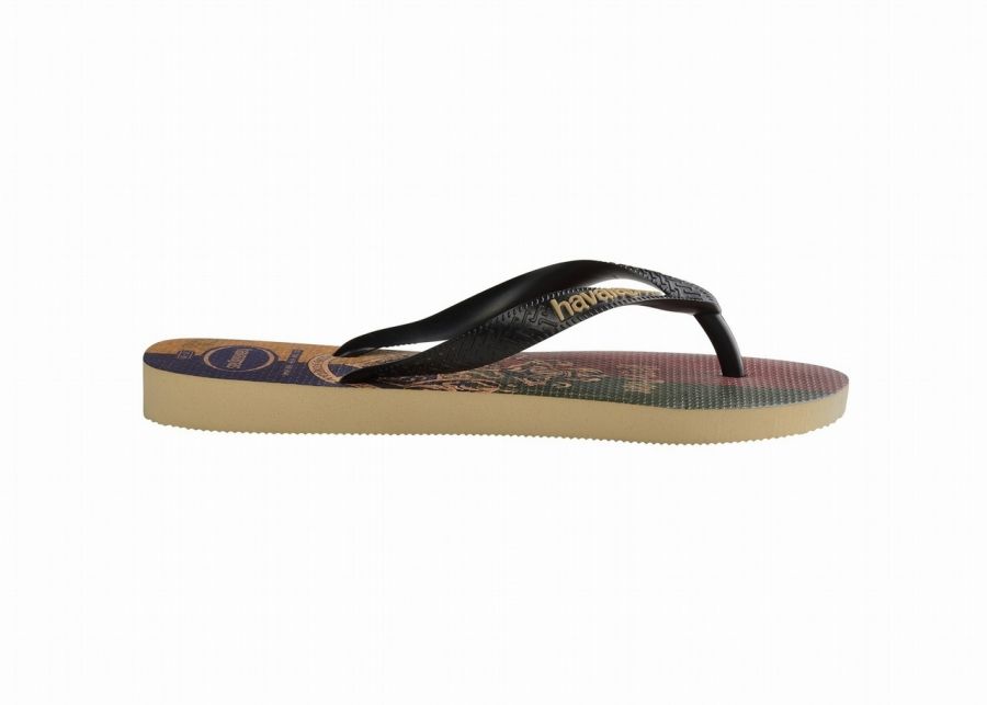 havaianas21.jpg