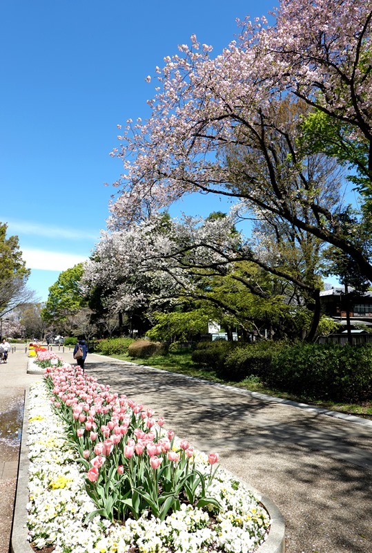 DSC01744.JPG