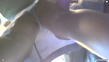 vlcsnap-2019-04-30-02h14m01s361 - 複製.png