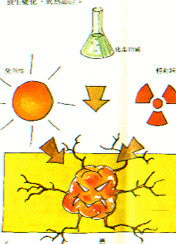 4351E3BD-4963-41E6-B364-2207666FCE7C.gif