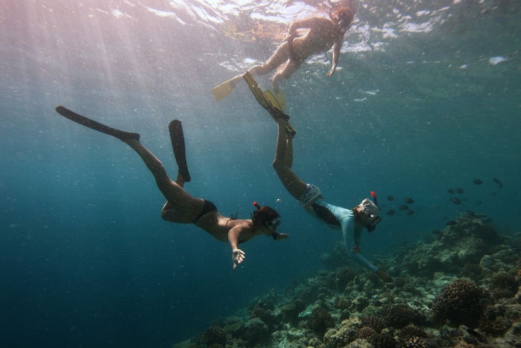 diving-Soneva-Fushi-Maldives.jpg