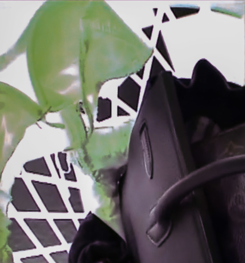 2019-05-11_010346.jpg